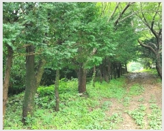  2024Ÿ��3352 �泲 �뿵�� ������ �׸��� 790      ����(��1)���