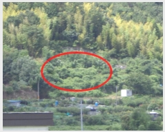  2024Ÿ3444 泲  û  394-1      ()