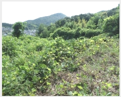  2024Ÿ3444 泲  û  394-1      ()