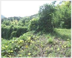  2024Ÿ3444 泲  û  394-1      ()