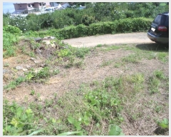  2024Ÿ3444 泲  û  394-1      ()