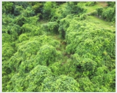  2024Ÿ3444 泲  û  394-1      ()