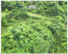  2024Ÿ3444 泲  û  394-1      ()