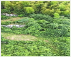  2024Ÿ3444 泲  û  394-1      ()