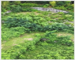  2024Ÿ3444 泲  û  394-1      ()