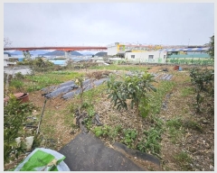  2024Ÿ��5266 �泲 ������ ���� ��ȣ�� 31      ����(��1)���