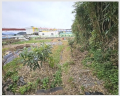  2024Ÿ��5266 �泲 ������ ���� ��ȣ�� 31      ����(��1)���