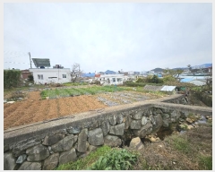  2024Ÿ��5266 �泲 ������ ���� ��ȣ�� 31      ����(��1)���