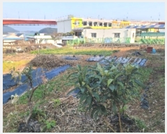  2024Ÿ��5266 �泲 ������ ���� ��ȣ�� 31      ����(��1)���