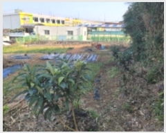  2024Ÿ��5266 �泲 ������ ���� ��ȣ�� 31      ����(��1)���