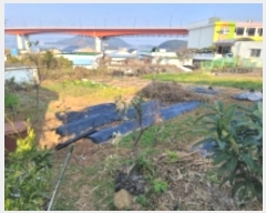  2024Ÿ��5266 �泲 ������ ���� ��ȣ�� 31      ����(��1)���