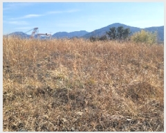  2024Ÿ5693 泲   âȣ 2030-18      (1)