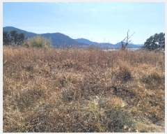  2024Ÿ5693 泲   âȣ 2030-18      (1)