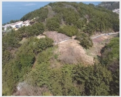  2024Ÿ22865 泲 뿵   542      (1)