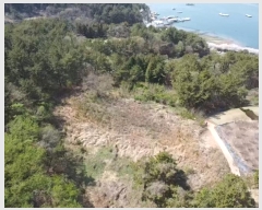  2024Ÿ22865 泲 뿵   542      (1)