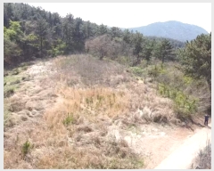  2024Ÿ22865 泲 뿵   542      (1)