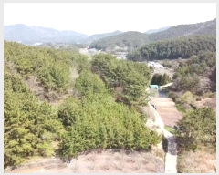  2024Ÿ22865 泲 뿵   542      (1)