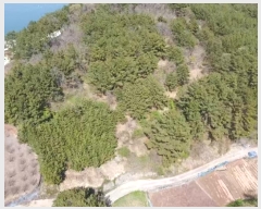  2024Ÿ22865 泲 뿵   542      (1)