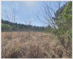  2024Ÿ22865 泲 뿵   542      (1)