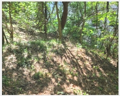  2024Ÿ24458 泲    143-1      (Ӿ)