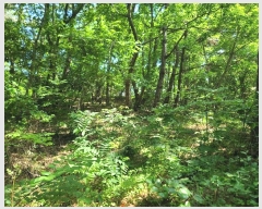  2024Ÿ24458 泲    143-1      (Ӿ)