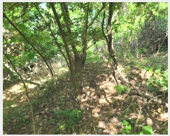  2024Ÿ24458 泲    143-1      (Ӿ)