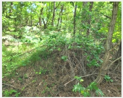  2024Ÿ24458 泲    143-1      (Ӿ)