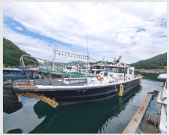  2024Ÿ��29187 �뿵�� ����� �����        ���ڰ��