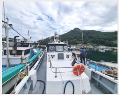  2024Ÿ��29187 �뿵�� ����� �����        ���ڰ��