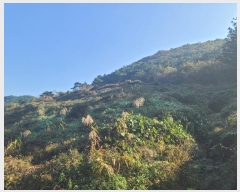  2024Ÿ��31081 �泲 ������ ��û�� ������ 135      ����(�Ӿ�)���