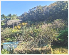  2024Ÿ��31081 �泲 ������ ���θ� ���Ḯ 246-1      ���(�󰡽ü�)���