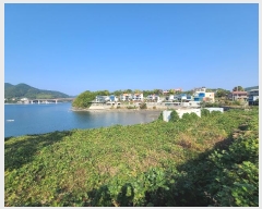  2024Ÿ��31081 �泲 ������ ���θ� ���Ḯ 246-1      ���(�󰡽ü�)���