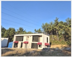  2024Ÿ31197 泲  ̸ ︮ 1567-10      ð