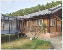  2024Ÿ31517 泲    529-9      ð