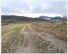  2024Ÿ32107 泲    731-4      ()