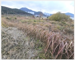  2024Ÿ32107 泲    731-4      ()