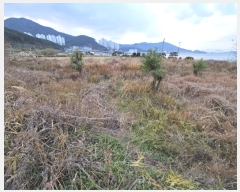  2024Ÿ32107 泲    731-4      ()