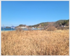  2024Ÿ32107 泲    731-4      ()