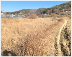  2024Ÿ32107 泲    731-4      ()