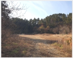  2024Ÿ32695 泲    126-8      (Ӿ)