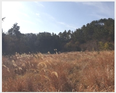  2024Ÿ32695 泲    126-8      (Ӿ)