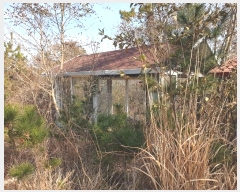  2024Ÿ32695 泲    126-8      (Ӿ)