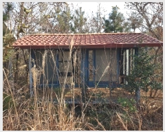  2024Ÿ32695 泲    126-8      (Ӿ)