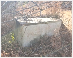  2024Ÿ32695 泲    126-8      (Ӿ)