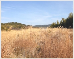  2024Ÿ32695 泲    126-8      (Ӿ)