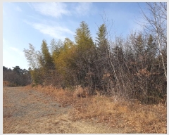  2024Ÿ32695 泲    126-8      (Ӿ)