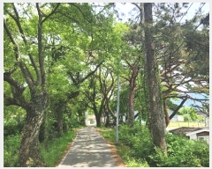  2024Ÿ��1745 �泲 ������ ������ ���2�� 28-53      �ڵ������ýü����