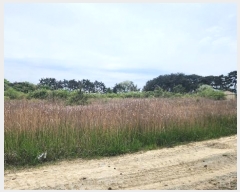  2024Ÿ��1745 �泲 ������ ������ ���2�� 28-53      �ڵ������ýü����