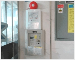  2024Ÿ1875 泲   ſ 407      ٸü,󰡰