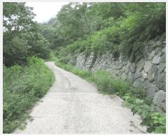  2024Ÿ1875 泲   ſ 9      (Ӿ)